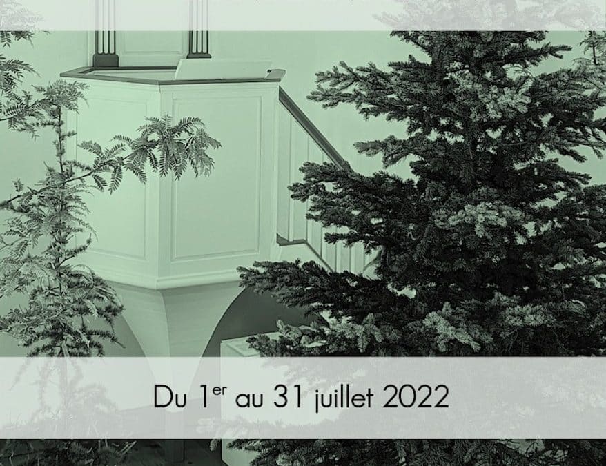 Exposition Reboisements de Chantal Ringuet – juillet 2022